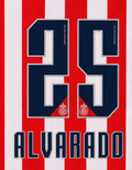 OFFICIAL CHIVAS GUADALAJARA NAME SET R. ALVARADO #25 HOME SHIRT 26/27